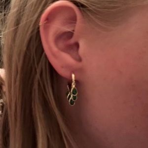 Beautiful Cubic Zirconia Water Drop Earrings